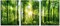 Summer Green Forest Canvas Wall Decor 12x16 inches, Home Decor with Natural Light Elements, Minimalist Canvas Print for Living Room, Bedroom, or Hallway -3 Panels Sunrise Landscape Modern Nature Art